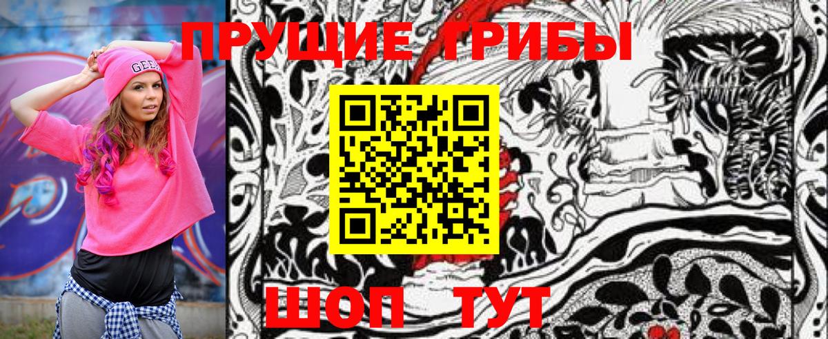 Галлюциногенные грибы GOLDEN TEACHER Шебекино