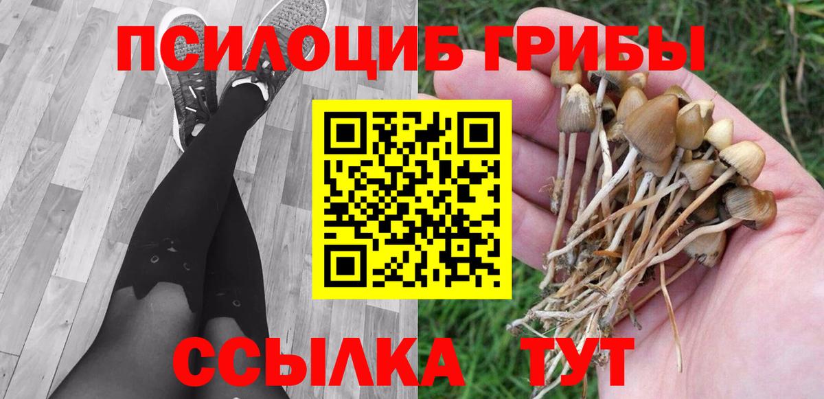 Галлюциногенные грибы Cubensis  Вход с VPN  Галлюциногенные грибы Cubensis  Шебекино 